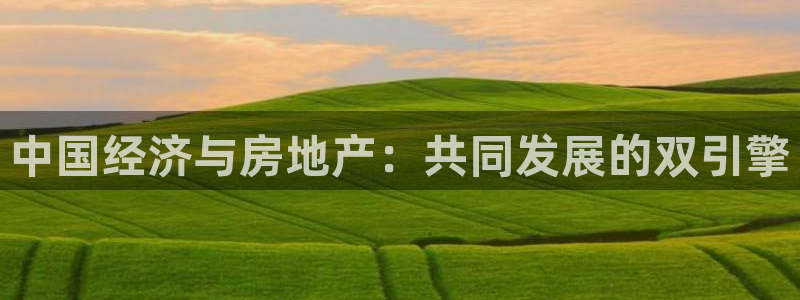 风暴娱乐 风暴注册平台：中国经济与房地产：共同发展的双引擎