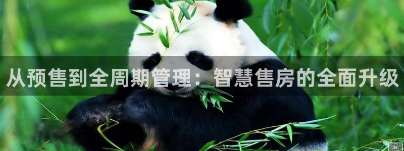 风暴娱乐官方网站：从预售到全周期管理：智慧售房的全面升级
