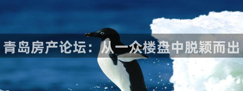 风暴娱乐提现：青岛房产论坛：从一众楼盘中脱颖而出
