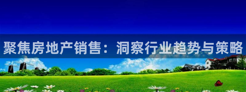 风暴平娱乐：聚焦房地产销售：洞察行业趋势与策略