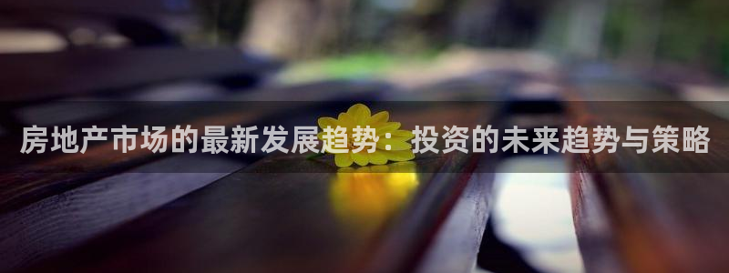 风暴娱乐园：房地产市场的最新发展趋势：投资的未来趋势与策略