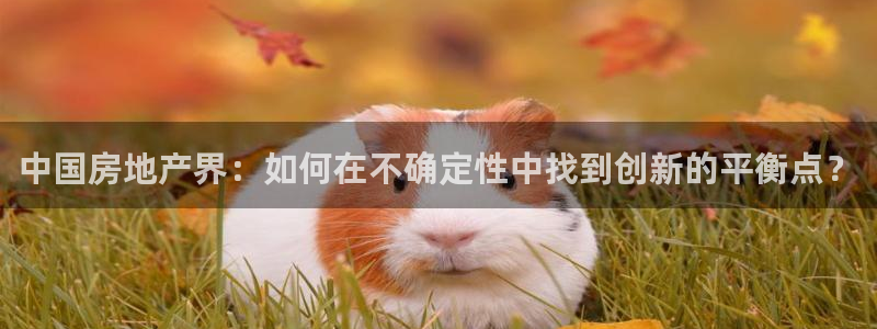 风暴娱乐 北京：中国房地产界：如何在不确定性中找到创新的平衡