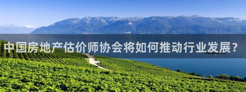 风暴娱乐派对：中国房地产估价师协会将如何推动行业发展？