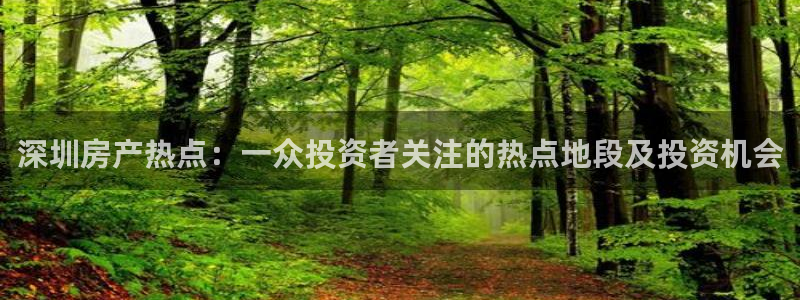 风暴娱乐地5指尖：深圳房产热点：一众投资者关注的热点地段及投