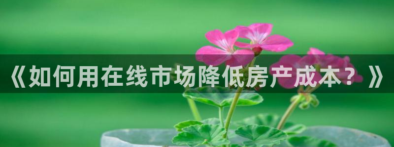 风暴娱乐fb：《如何用在线市场降低房产成本？》