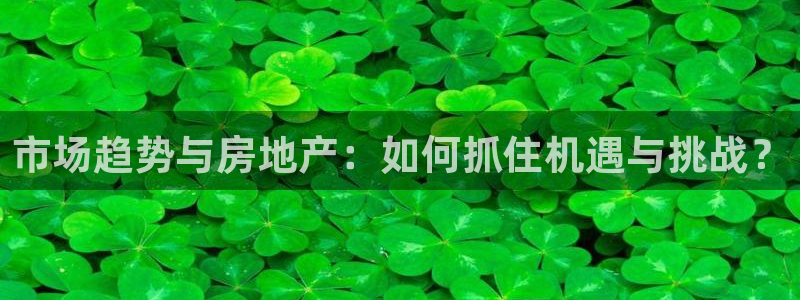 风暴娱乐眼：市场趋势与房地产：如何抓住机遇与挑战？
