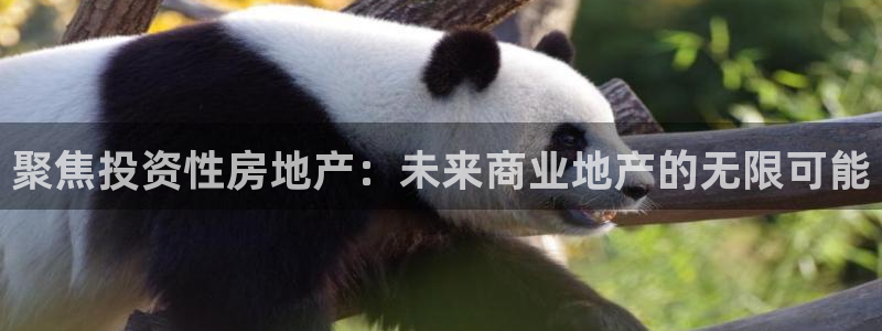 风暴娱乐银川：聚焦投资性房地产：未来商业地产的无限可能