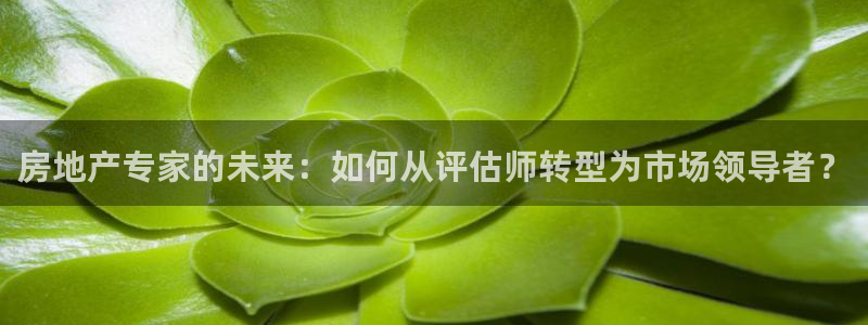 风暴娱乐实况：房地产专家的未来：如何从评估师转型为市场领导者