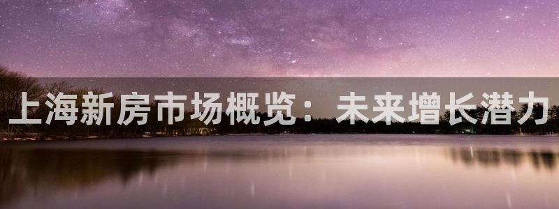 光风暴娱乐：上海新房市场概览：未来增长潜力