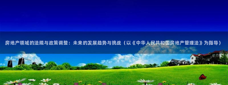 风暴娱乐图片：房地产领域的法规与政策调整：未来的发展趋势与挑