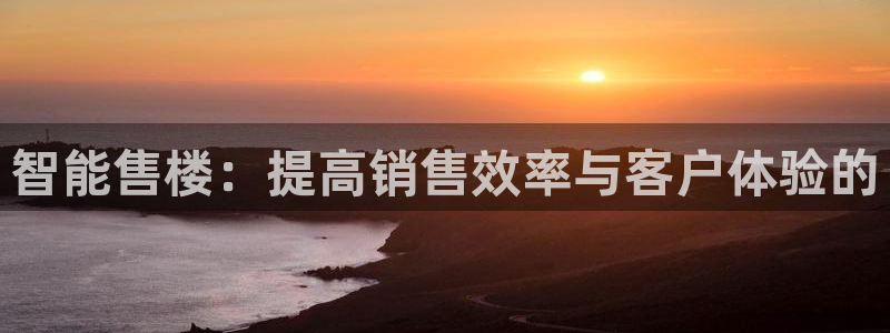 4120051风暴娱乐：智能售楼：提高销售效率与客户体验的