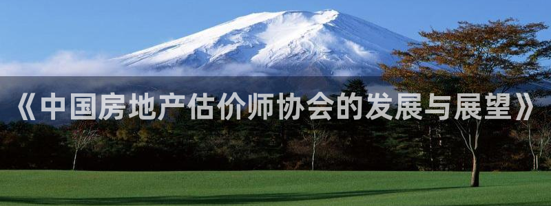 风暴娱乐实况：《中国房地产估价师协会的发展与展望》