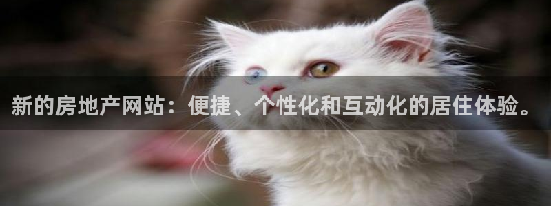 风暴娱乐 风暴注册平台：新的房地产网站：便捷、个性化和互动化