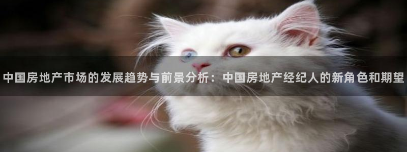 风暴娱乐银川：中国房地产市场的发展趋势与前景分析：中国房地产