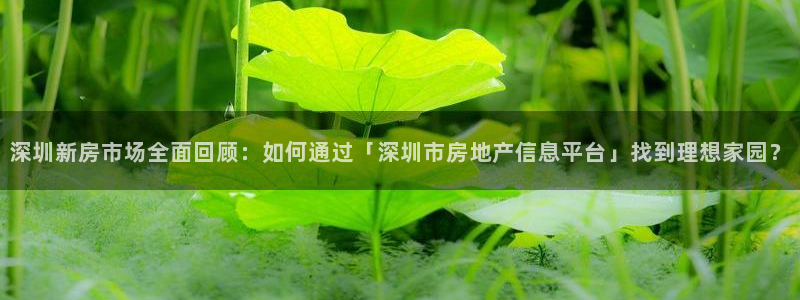 风暴娱乐提现：深圳新房市场全面回顾：如何通过「深圳市房地产信