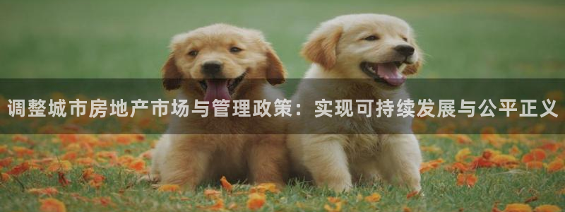 风暴娱乐平台官网登陆：调整城市房地产市场与管理政策：实现可持