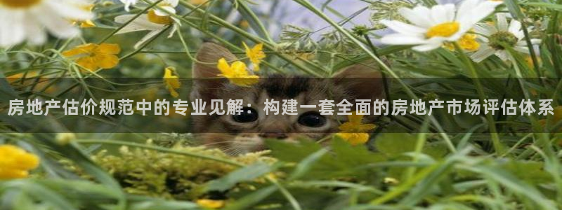 风暴娱乐5O6917：房地产估价规范中的专业见解：构建一套全