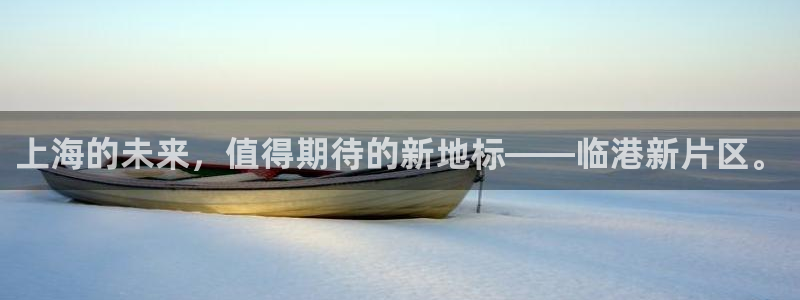 风暴官方娱乐：上海的未来，值得期待的新地标——临港新片区。