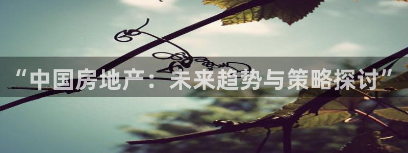 风暴娱乐客服：“中国房地产：未来趋势与策略探讨”