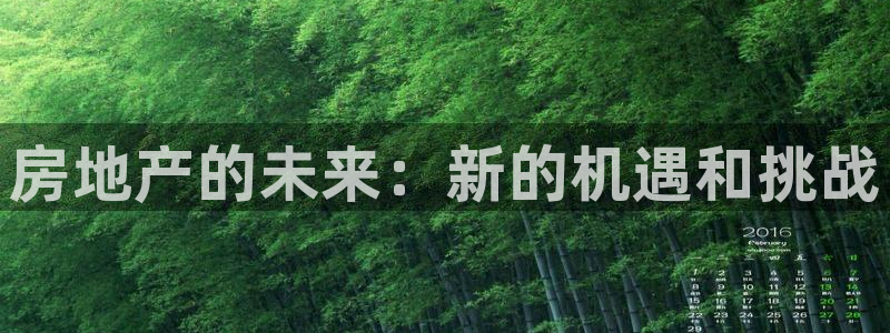娱乐风暴系统：房地产的未来：新的机遇和挑战