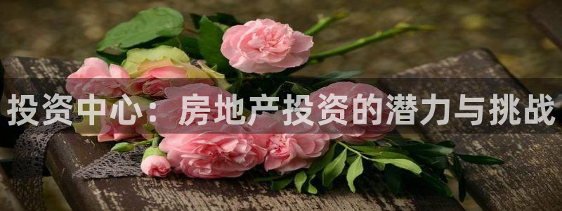 风暴娱乐注册网址：投资中心：房地产投资的潜力与挑战