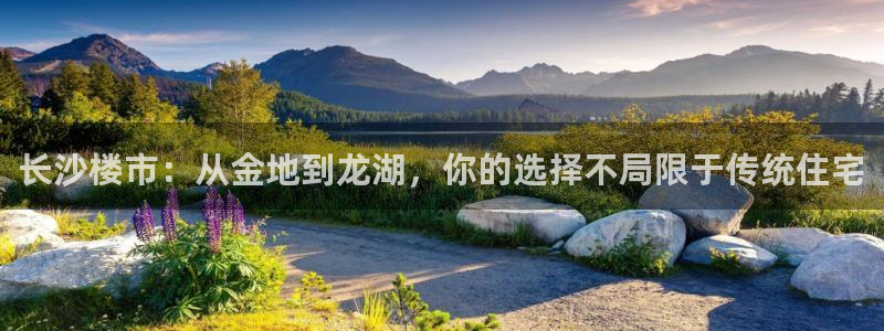 风暴娱乐地5指尖：长沙楼市：从金地到龙湖，你的选择不局限于传