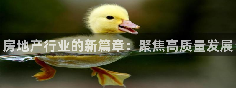 娱乐星空风暴：房地产行业的新篇章：聚焦高质量发展