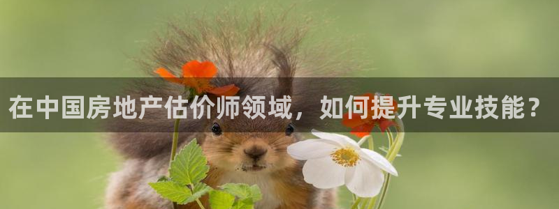 万万娱乐风暴：在中国房地产估价师领域，如何提升专业技能？