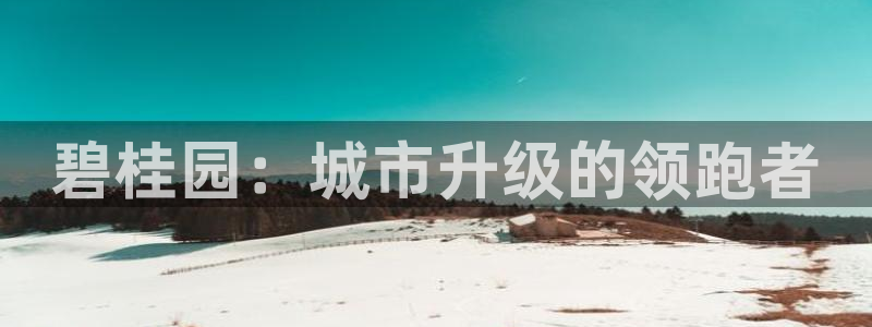 风暴娱乐月5指尖：碧桂园：城市升级的领跑者