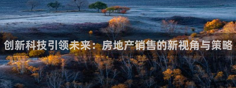 风暴娱乐1980：创新科技引领未来：房地产销售的新视角与策略