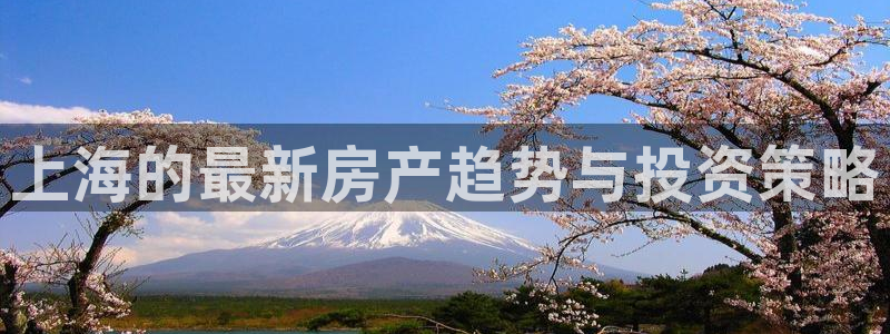 风暴娱乐这个平台靠谱：上海的最新房产趋势与投资策略