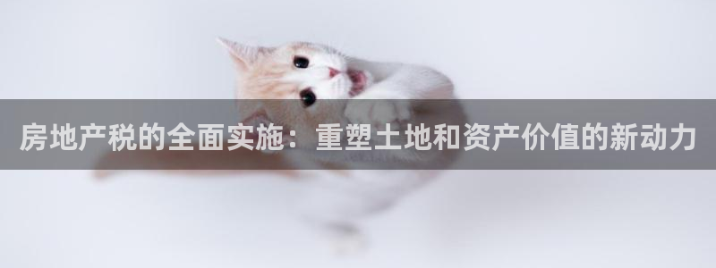 风暴娱乐5O6917：房地产税的全面实施：重塑土地和资产价值