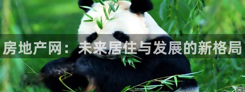 娱乐风暴开头：房地产网：未来居住与发展的新格局