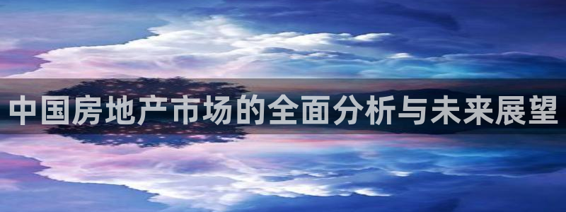 风暴娱乐套路：中国房地产市场的全面分析与未来展望