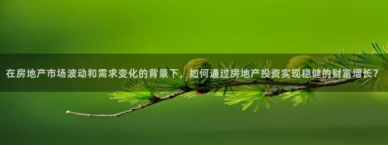 菲律宾风暴娱乐集团：在房地产市场波动和需求变化的背景下，如何