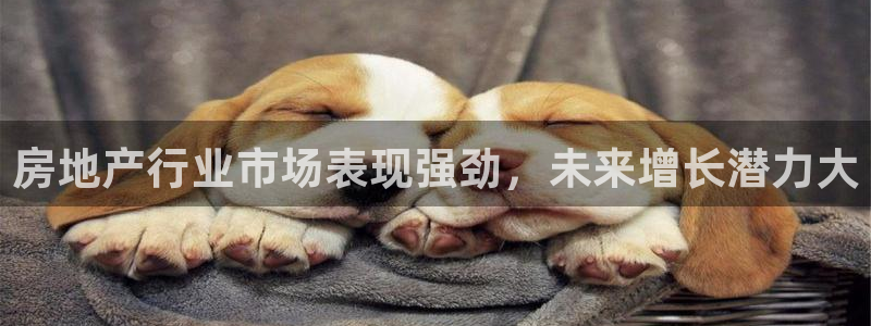光风暴娱乐：房地产行业市场表现强劲，未来增长潜力大