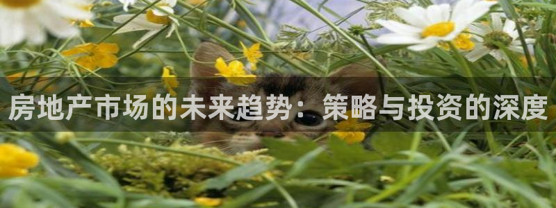 风暴娱乐自动挂：房地产市场的未来趋势：策略与投资的深度