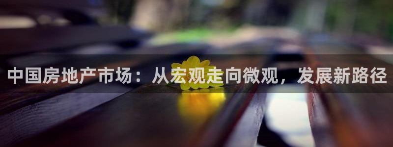 风暴娱乐主页：中国房地产市场：从宏观走向微观，发展新路径