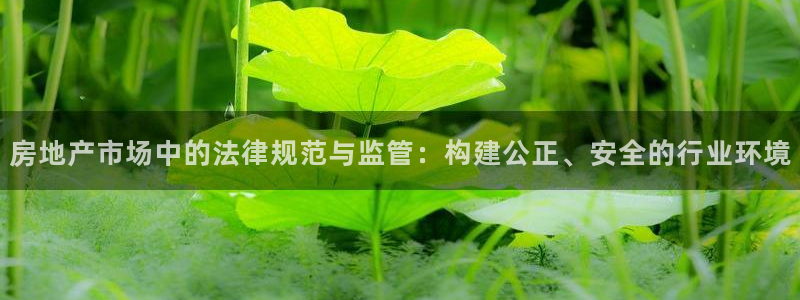 风暴娱乐这个平台靠谱：房地产市场中的法律规范与监管：构建公正