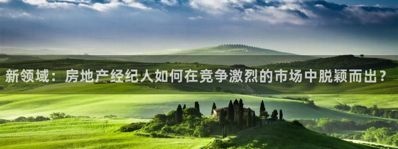 风暴娱乐下5指尖：新领域：房地产经纪人如何在竞争激烈的市场中