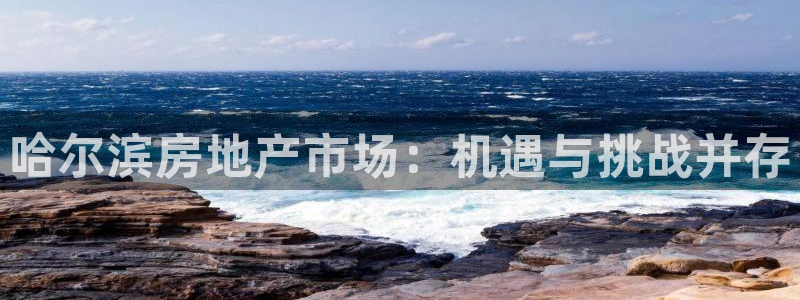 风暴娱乐主管是谁：哈尔滨房地产市场：机遇与挑战并存