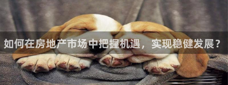 风暴娱乐开户：如何在房地产市场中把握机遇，实现稳健发展？