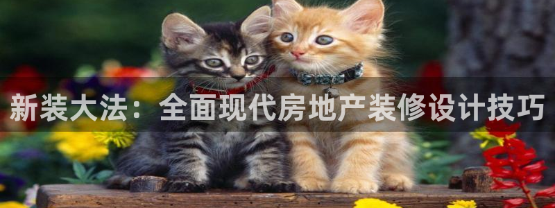 风暴娱乐官方网站：新装大法：全面现代房地产装修设计技巧