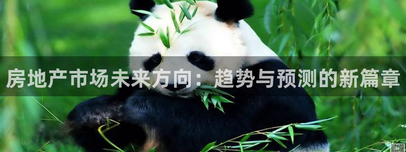 风暴大厅娱乐：房地产市场未来方向：趋势与预测的新篇章