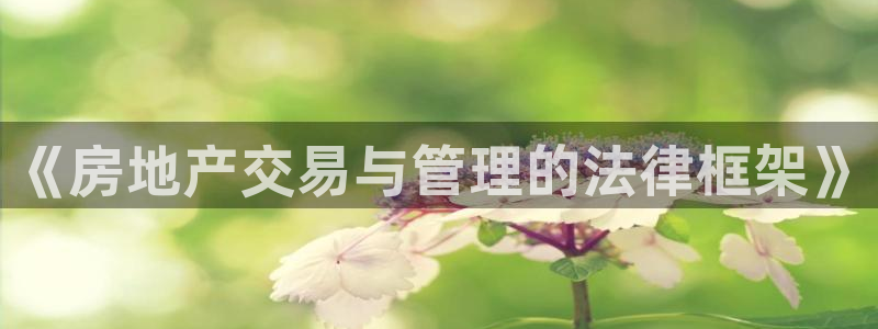 风暴新娱乐：《房地产交易与管理的法律框架》