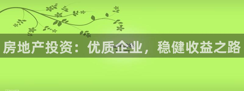 风暴娱乐平台地址：房地产投资：优质企业，稳健收益之路