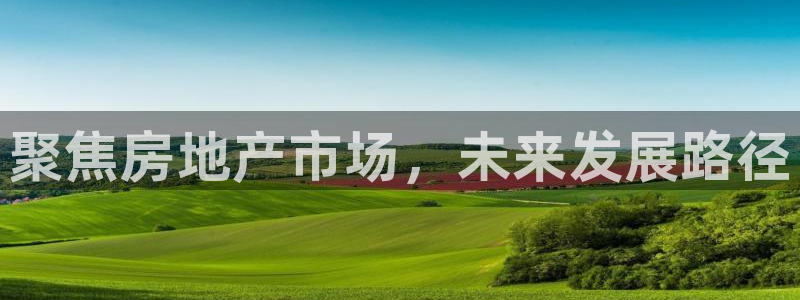 风暴娱乐求333OOc：聚焦房地产市场，未来发展路径