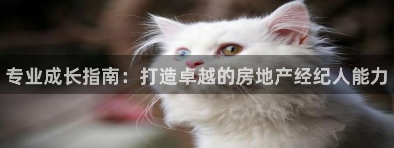 风暴娱乐园：专业成长指南：打造卓越的房地产经纪人能力