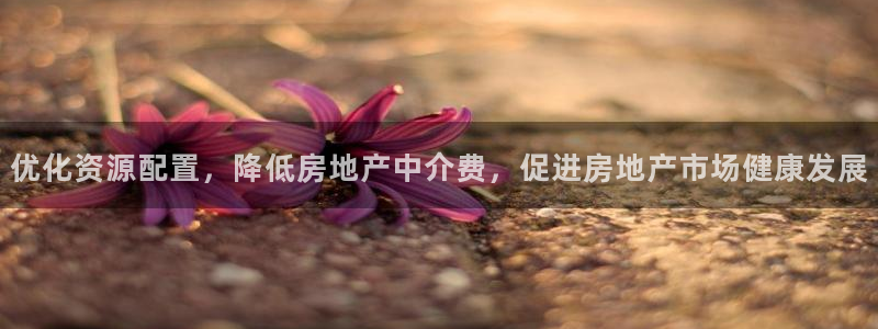 风暴娱乐实况：优化资源配置，降低房地产中介费，促进房地产市场