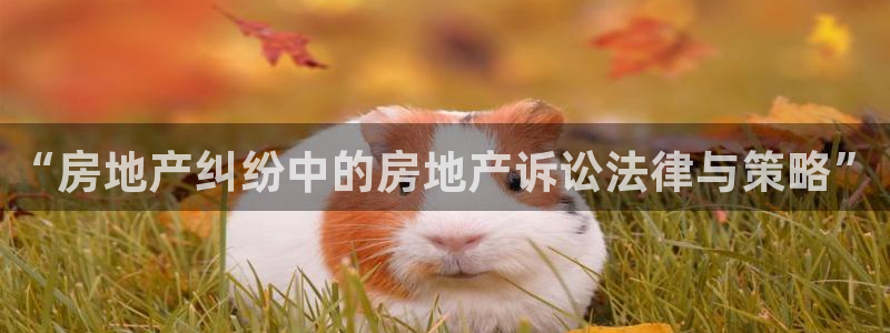 风暴娱乐下5指尖：“房地产纠纷中的房地产诉讼法律与策略”